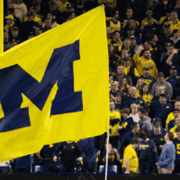 Michigan Football Flag