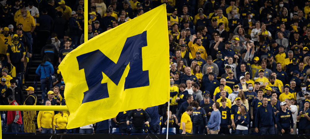 Michigan Football Flag