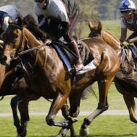 2025 Preakness predictions and picks - May 17, 2025