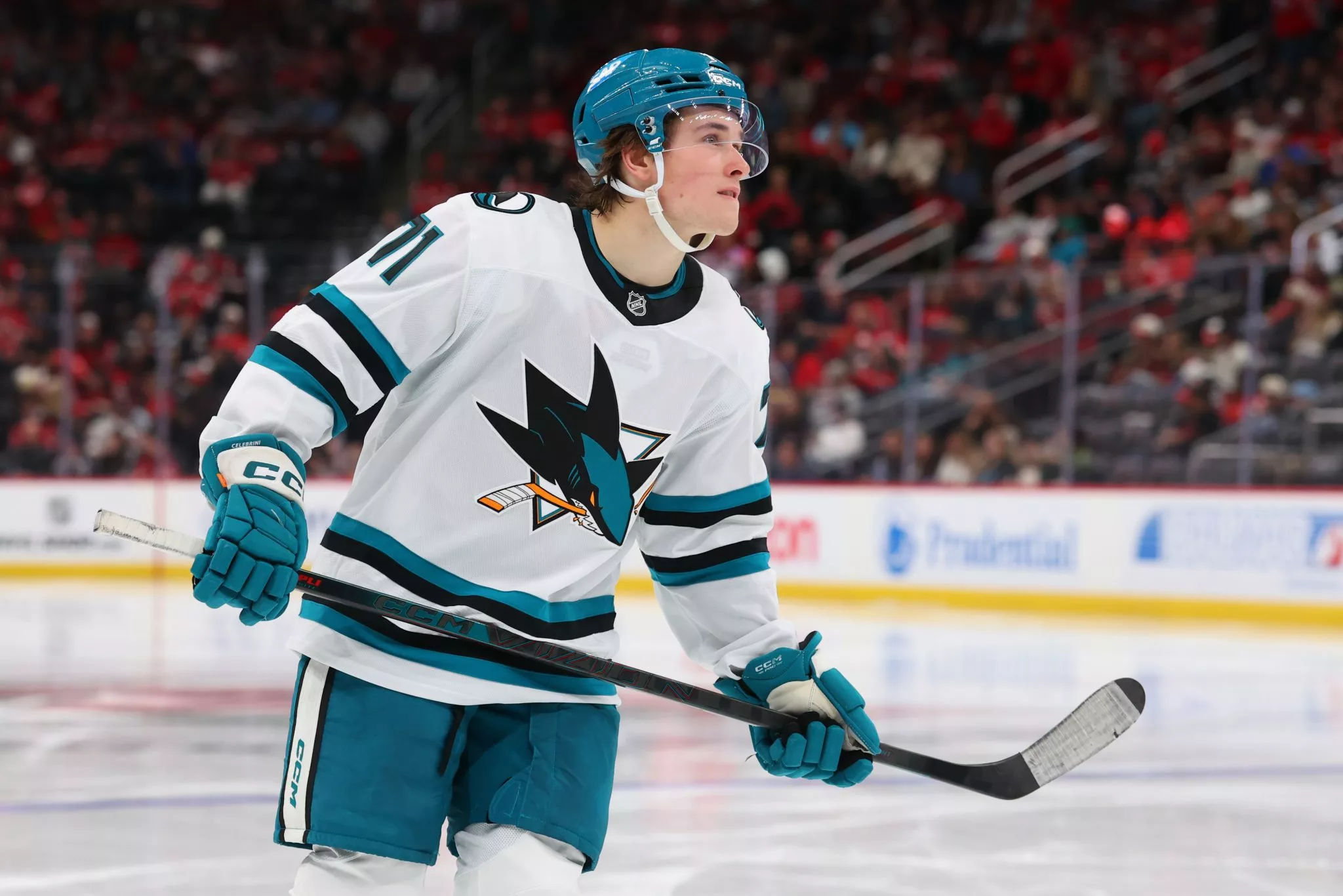 Sharks vs Red Wings picks