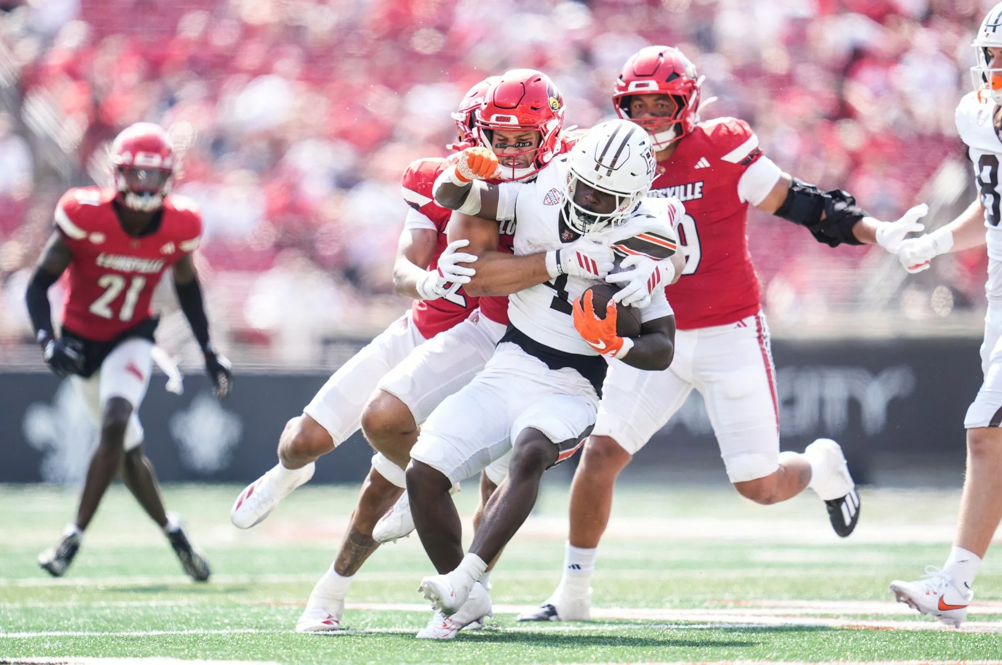 Akron Zips at Bowling Green Falcons Picks and Prediction