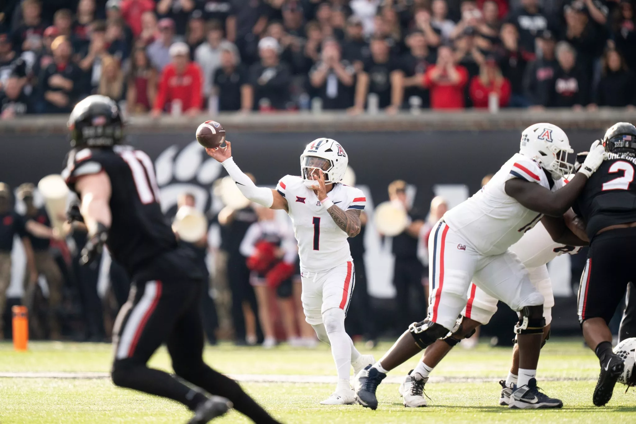 Noah Fifita looks to lead the Wildcats over the Bears