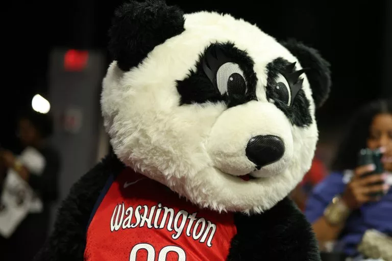 Toronto Tempo vs Washington Mystics Picks and Prediction for Wednesday August 19, 2026
