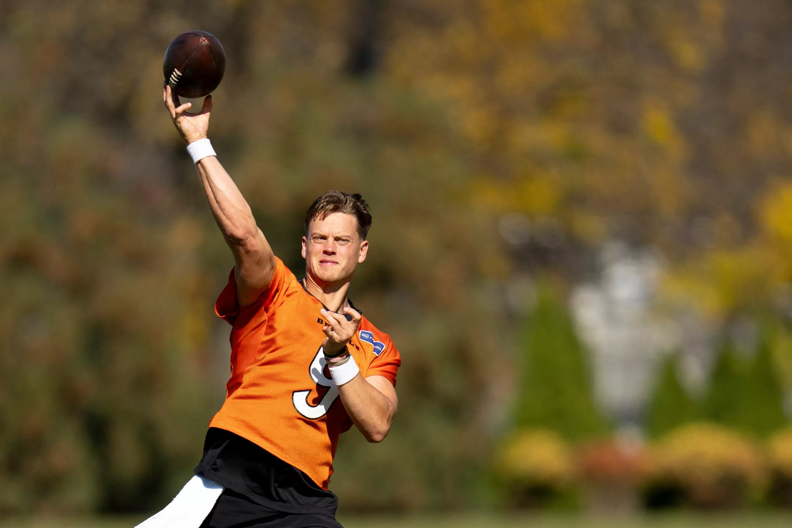 Tennessee Titans vs Cincinnati Bengals Picks and Prediction for Sunday November 1 2026